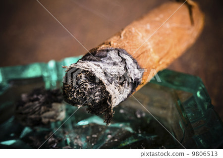 Expensive hand-rolled cigar on a while background Expensive hand-rolled cigar on a while background 9806513