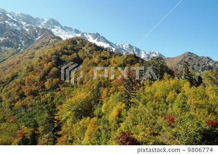 Tateyama of autumn leaves and first snow 9806774