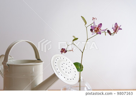 Roses on the table Roses on the table 9807163