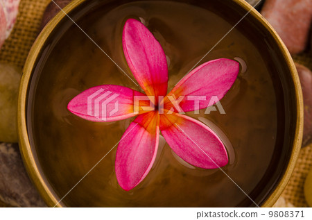 Pink frangipani with pebbles on woven bamboo mat Pink frangipani with pebbles on woven bamboo mat 9808371
