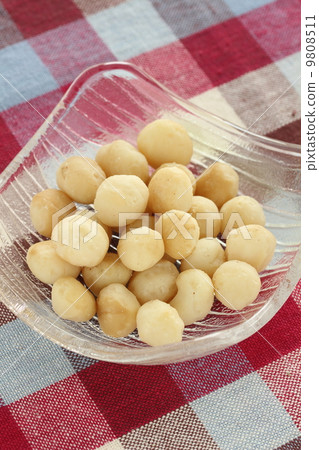 澳洲堅果 9808511