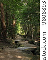 Heian Shrine garden 9808893