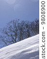 Snow mountain 9808900