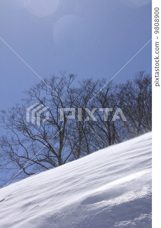 雪山 雪山 9808900