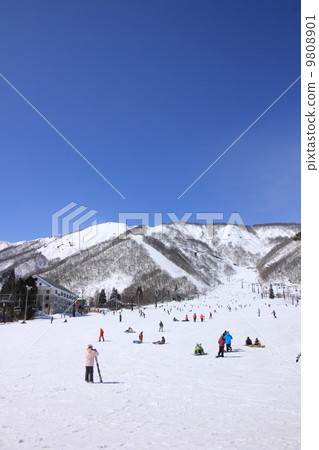 Hakuba Goryu ski resort 9808901