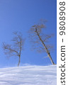 Snow scene 9808908