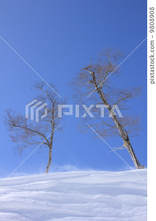 雪景 雪景 9808908