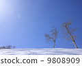 Snow scene 9808909