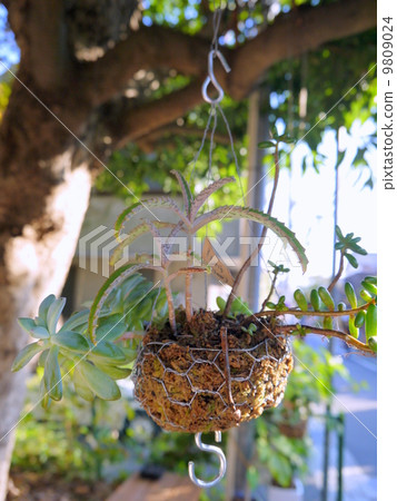 掛籃 掛籃 9809024