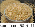 Brown rice 9819111