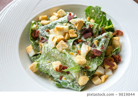 Ceasar Salad 9819844