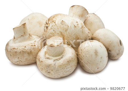 Champignon mushrooms Champignon mushrooms 9820677