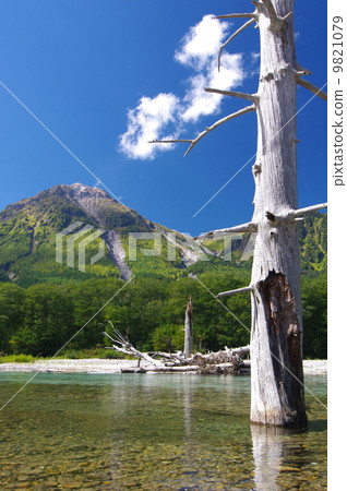 大正池和Yakedake（上高地的初秋） 9821079