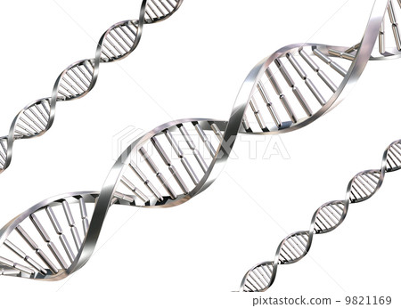 Isolated DNA Strands 9821169