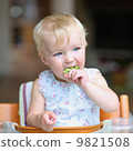 Cute baby girl sitting in a high feeding chair biting on delicious freshly cooked broccoli  9821508