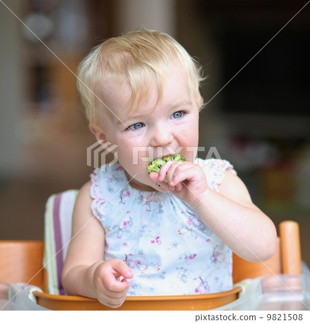 Cute baby girl sitting in a high feeding chair biting on delicious freshly cooked broccoli Cute baby girl sitting in a high feeding chair biting on delicious freshly cooked broccoli 9821508