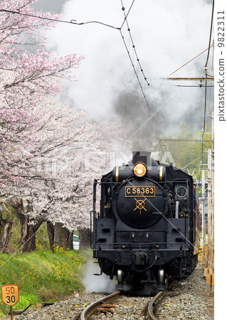 SL Pareo Express沿著秩父鐵路·Nagatoro的櫻花走 SL Pareo Express沿著秩父鐵路·Nagatoro的櫻花走 9822311