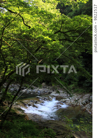 Kagawa River 9822517