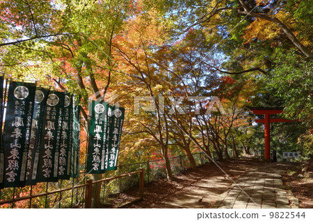 Autumn leaves of Horokodera mountain Autumn leaves of Horokodera mountain 9822544