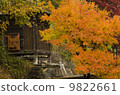 Mountain temple 9822661