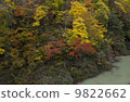 Tsukiyama dam 9822662