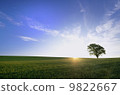 Philosophy tree 9822667