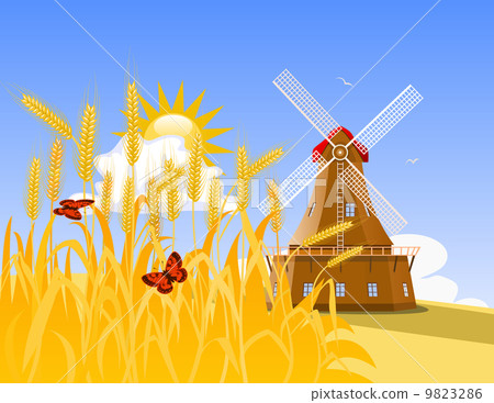 Wheat field and mill 9823286