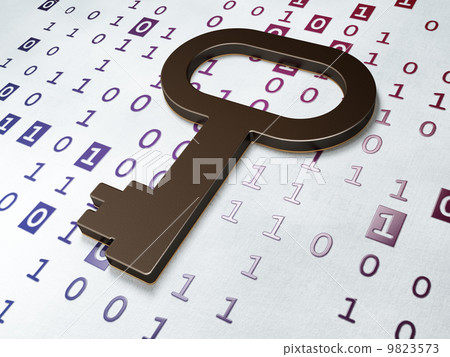 Security concept:  Key on Binary Code background 9823573