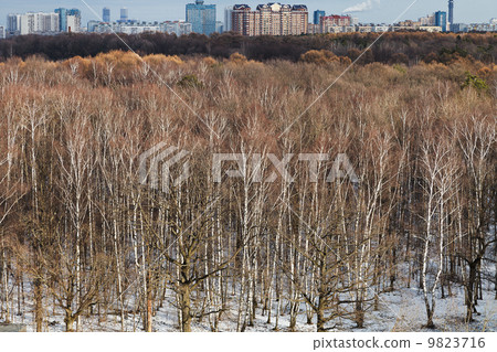 cityscape with spring thawing in park 9823716
