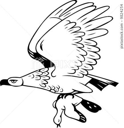 Eagle flies with prey 9824254