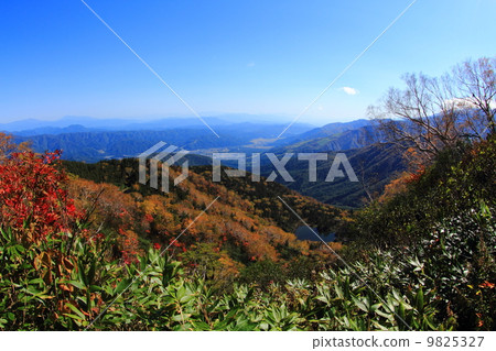 Northern Alps Tsugaike Nature Park Northern Alps Tsugaike Nature Park 9825327