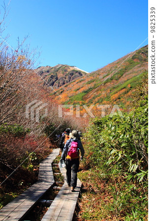 北阿爾卑斯山Tsugaike自然公園 北阿爾卑斯山Tsugaike自然公園 9825339