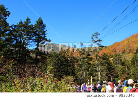 Northern Alps Tsugaike Nature Park 9825345