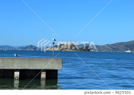 Alcatraz Island seen from Pier 39 9825501