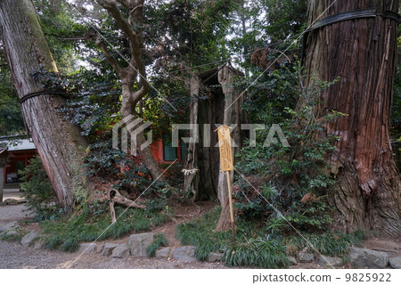 Katori Jingu shrine thrips Katori Jingu shrine thrips 9825922