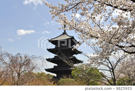 Garden view of Kyoto Toji 9825933