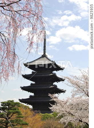Garden view of Kyoto Toji 9825935