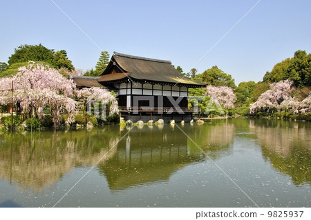 Garden view of Kyoto Heian Shrine 9825937