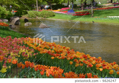 胡說 胡說 9826247