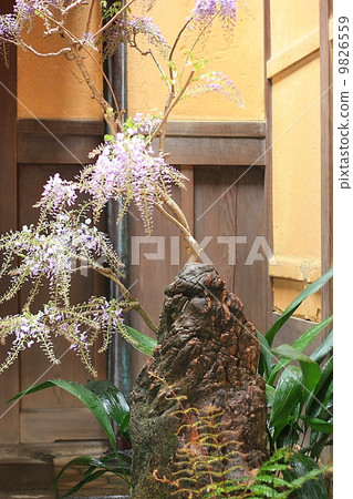 Yasuyuki Naikawa Cloisonnum Memorial Hall 9826559