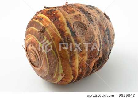 Shrimp potato Shrimp potato 9826848