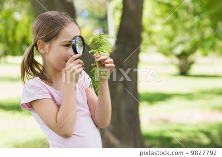 Girl examining leaves with magnifying glass at park Girl examining leaves with magnifying glass at park 9827792
