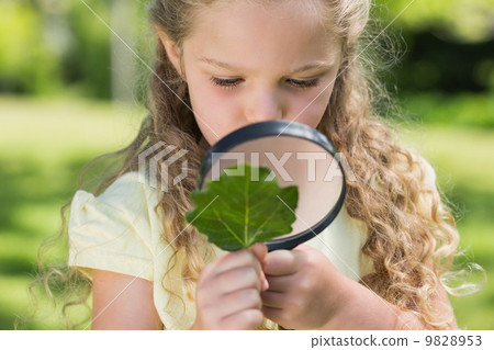 Girl examining leaf with magnifying glass at park 9828953
