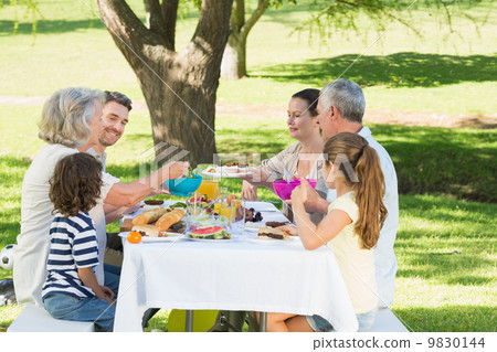 Extended family having lunch in lawn 9830144