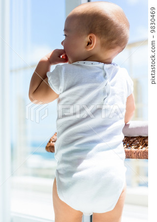 Rear view of a cute baby Rear view of a cute baby 9830469