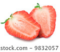 Strawberry 9832057