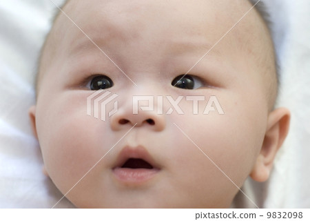 shocked looking asian baby shocked looking asian baby 9832098