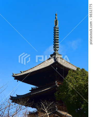 Ninna-ji 5層塔 9832775