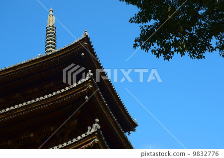 Ninna-ji 5-storied pagoda 9832776