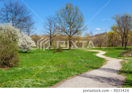 Spring in park Tanaro, Italy. 9833428